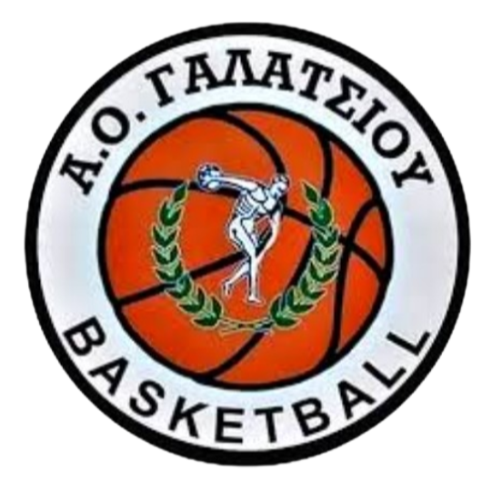 https://img.cdshbgjj.com/img/basketball/team/99aa3f28c95a20cc802a5f1a5af87719.png