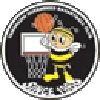 https://img.cdshbgjj.com/img/basketball/team/e416830f4083698237c559f8988ddb25.png