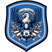 https://img.cdshbgjj.com/img/football/team/09bb5b9732bc080d522c37e74ce70004.png