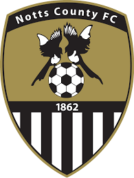 https://img.cdshbgjj.com/img/football/team/9e230c89a846b9cadf91884918fa7611.png